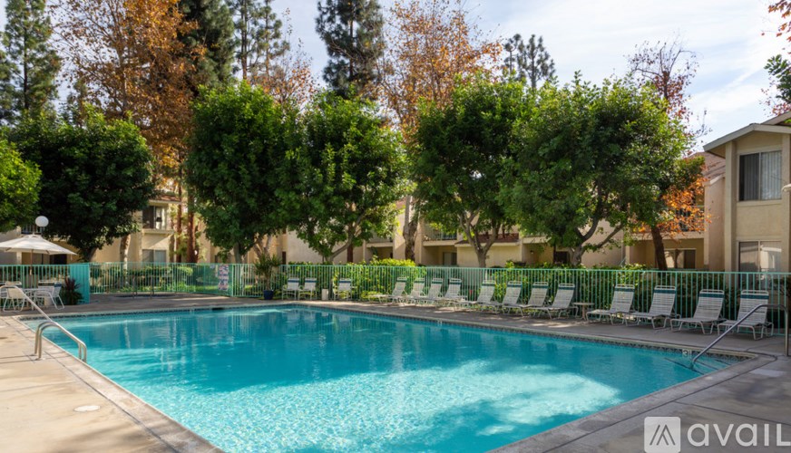 A pool surrounded by trees and chairs.