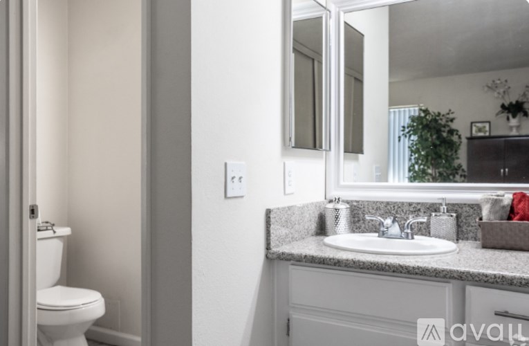 A bathroom with a toilet, sink, mirror, and a plant.