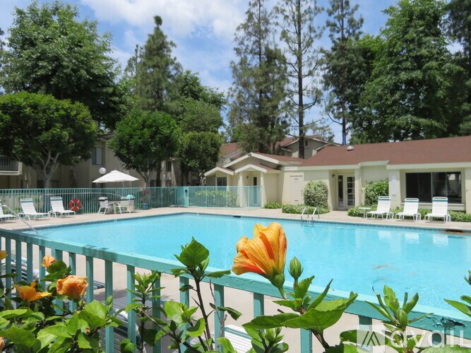 A pool surrounded by trees and a house.