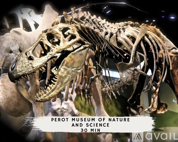 A dinosaur skeleton is displayed at the Perot Museum of Nature and Science.