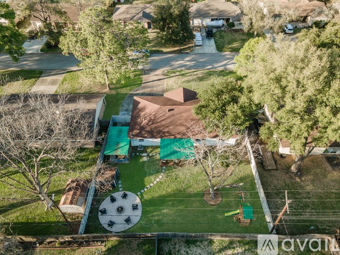 A backyard with a trampoline and a tree.