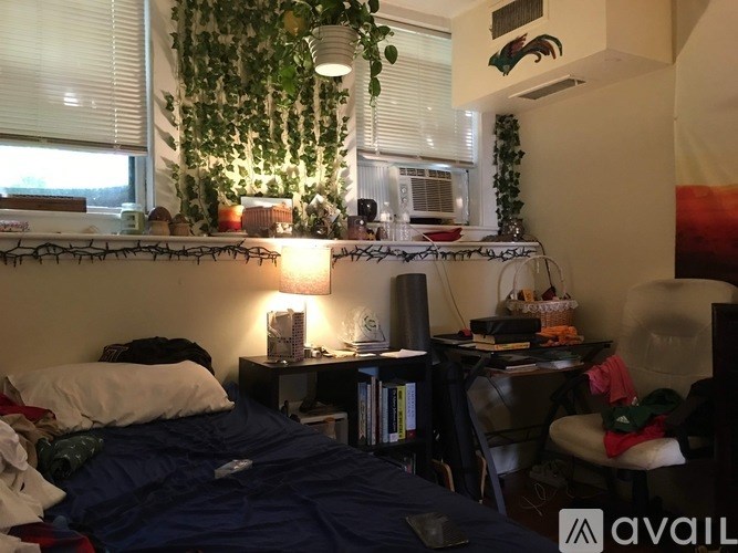 A bedroom with a bed, desk, chair, and a hanging plant.