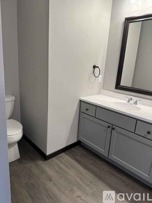 A bathroom with a toilet, sink, and mirror.