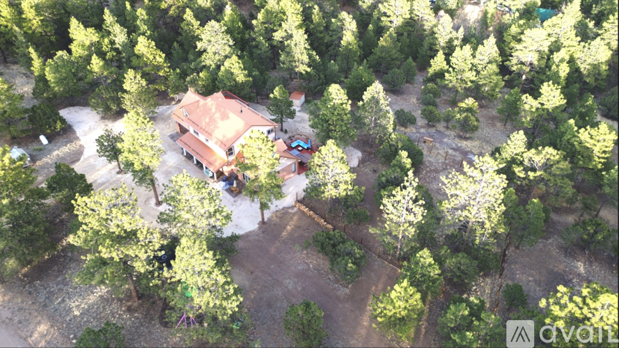 A house surrounded by trees in an aerial view.