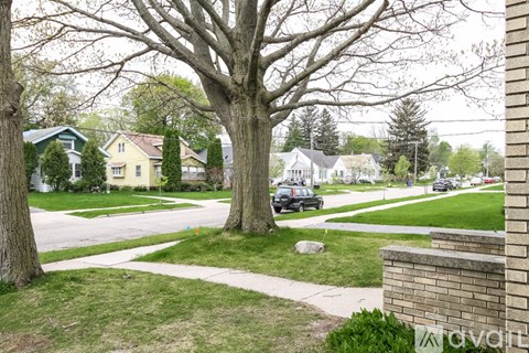 A tree in a grassy area with a house in the background.