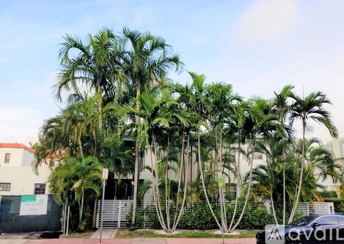 A row of palm trees in front of a white building.