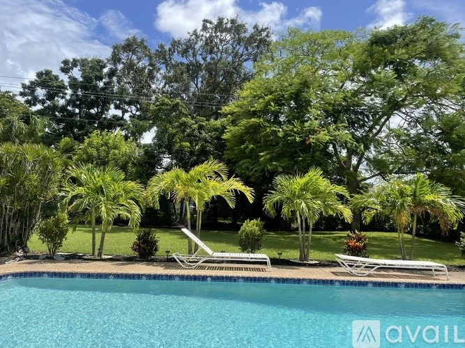 A pool surrounded by palm trees and lounge chairs.