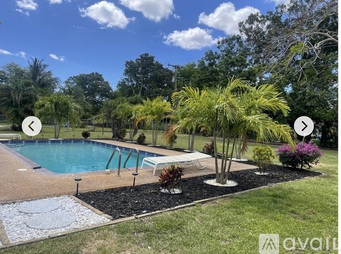 A pool surrounded by a garden with a clear blue sky.