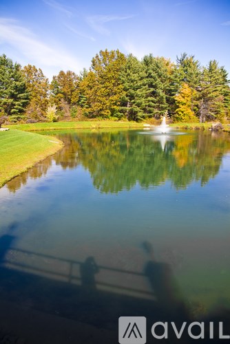 A lake with a fountain in the middle surrounded by trees.