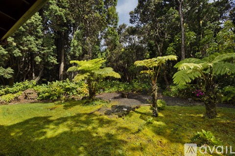 A lush green garden with a fountain in the middle.