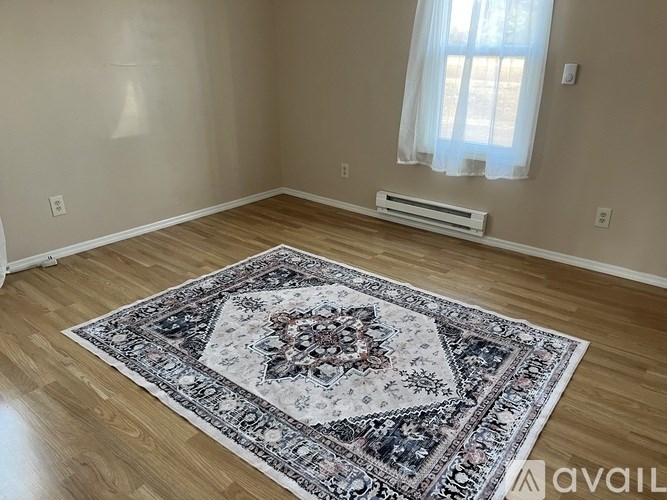 A room with a rug on the floor and a window with curtains.