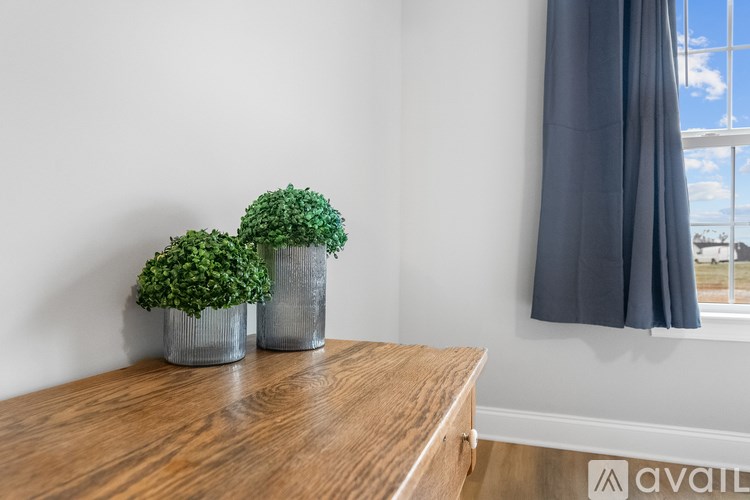 Two potted green plants sit on a wooden table.