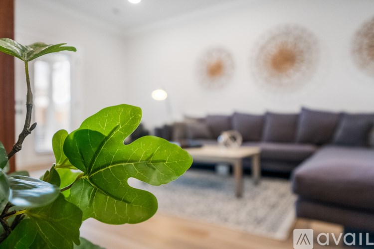 A green leafy plant sits in a living room with a brown couch and a coffee table.
