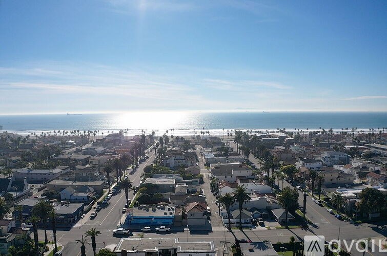 A sunny day in a coastal town with palm trees and houses.
