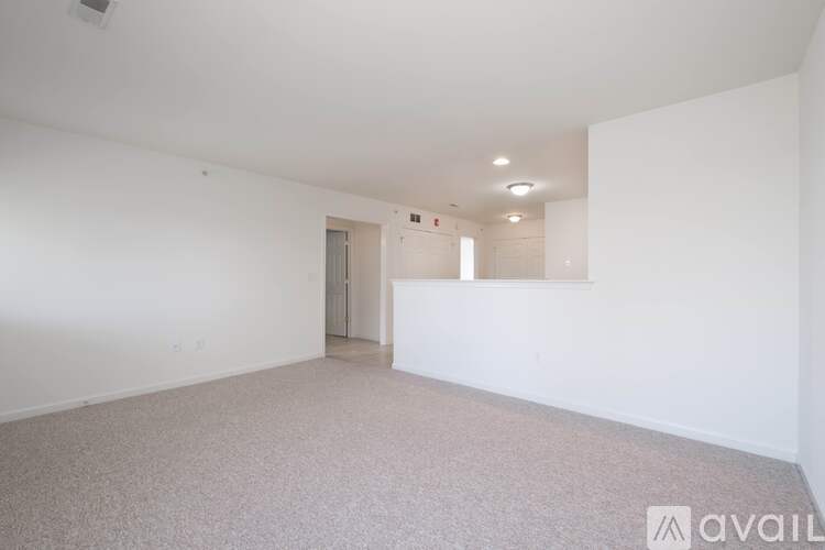 A room with a carpeted floor and a window showing a tree outside.