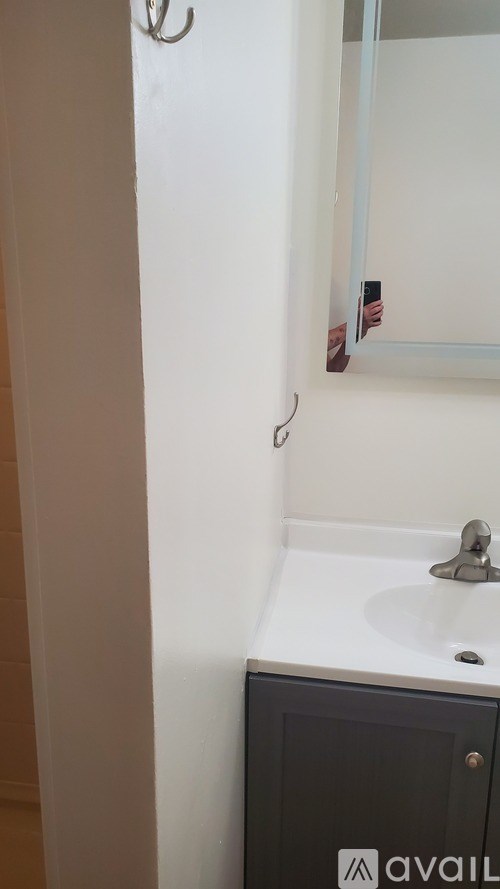 A bathroom with a sink and a mirror.
