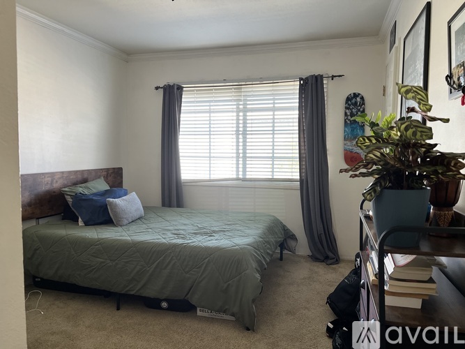 A bedroom with a bed, window, and a plant.