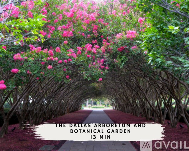 A tunnel of pink flowers leads the way to the Dallas Arboretum and Botanical Garden.