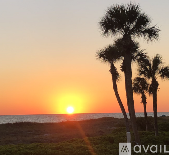 A sunset view with palm trees and the sun setting over the ocean.
