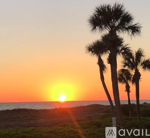 A sunset view with palm trees and the sun setting over the ocean.