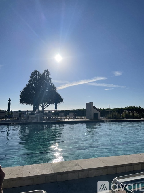 A tree stands next to a pool under a bright sun.