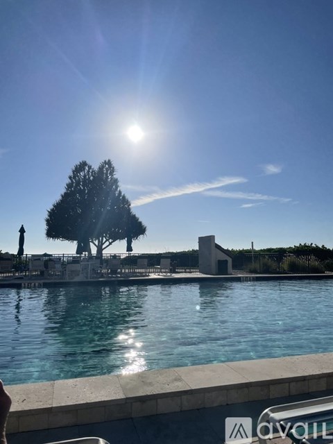A tree stands next to a pool under a bright sun.
