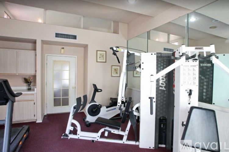 A gym with a treadmill, a stationary bike, and a weight machine.