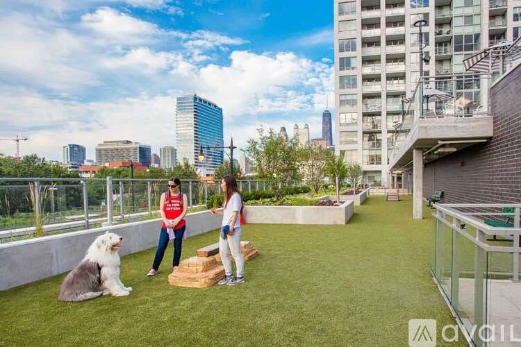Two people are standing on a grassy area with a dog, in front of a city skyline.