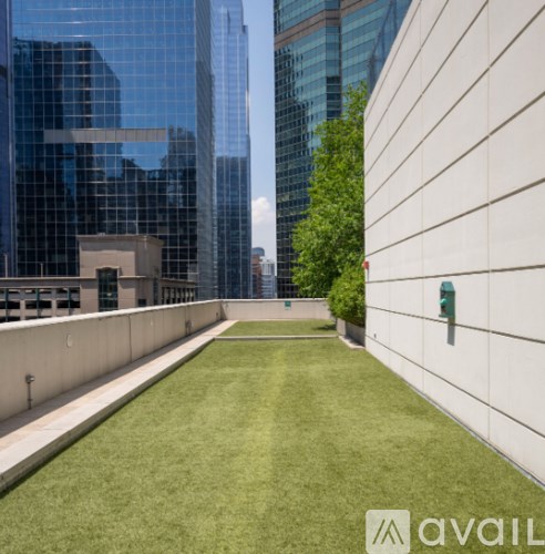 A grassy area in front of a building with a glass facade.