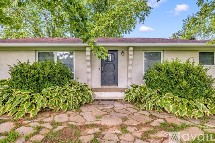 A house with a black door and windows surrounded by green plants.