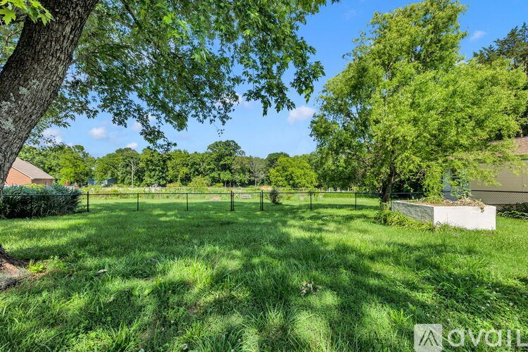 A lush green yard with trees and a fence.