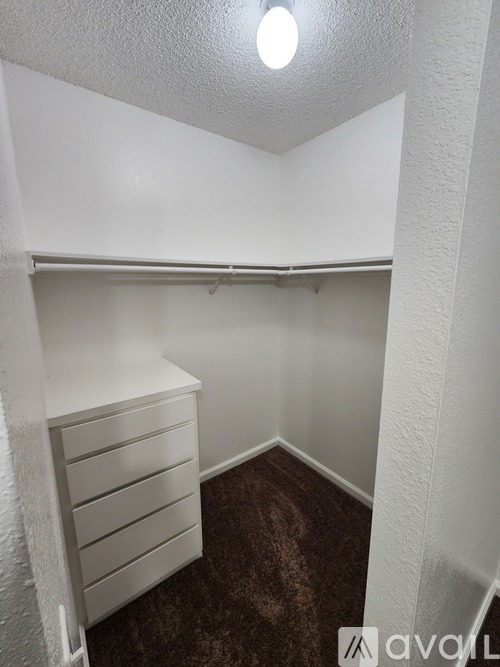 A small white closet with a brown carpet.