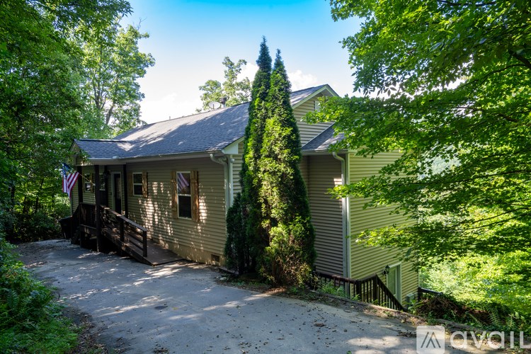 A house with a flag on the porch is surrounded by greenery.