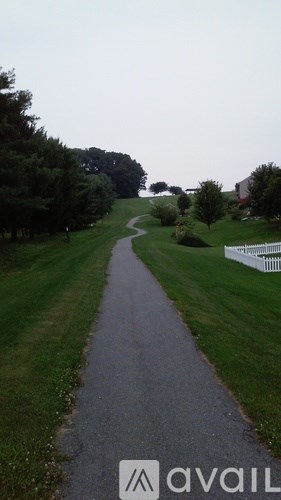 A wooden deck with a railing overlooks a lush green forest.