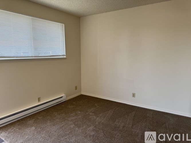A room with a carpeted floor and a window with blinds.