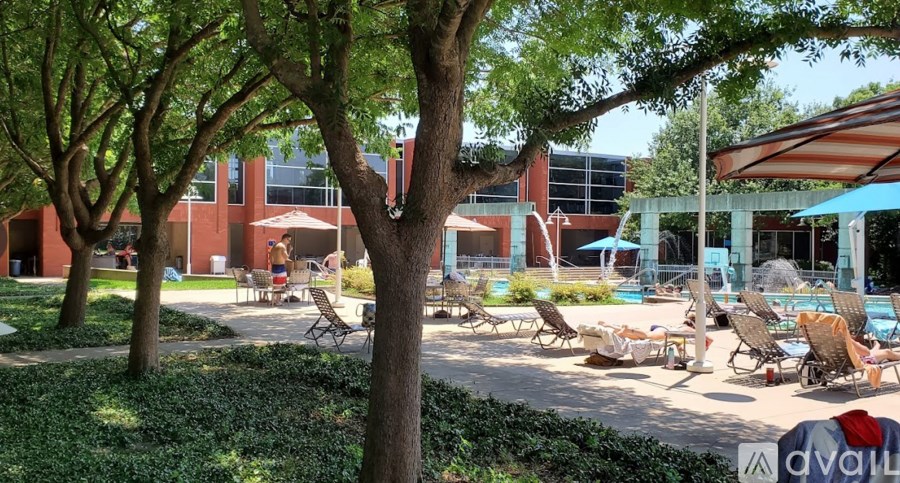 A sunny day at the poolside with trees providing shade.