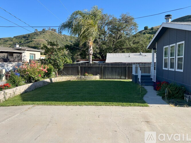 A house with a backyard and a palm tree.