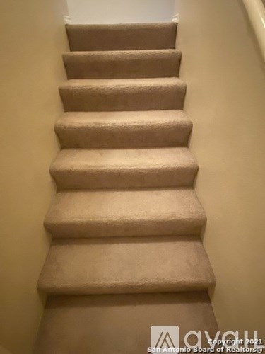 A beige carpeted stairway with a white wall on the side.