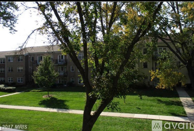 A tree in front of a building with a lawn in the foreground.