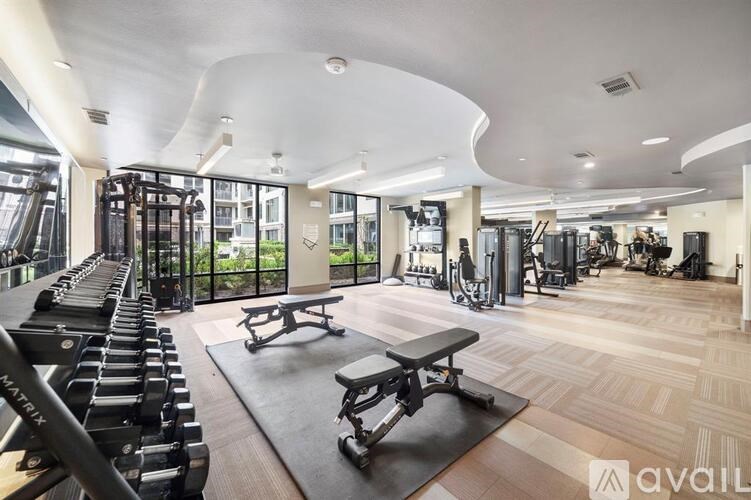 A gym with a variety of equipment including treadmills, weights, and exercise machines.