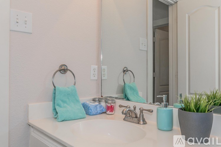 A bathroom sink with a towel ring, a mirror, and a potted plant.