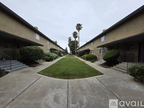 A row of houses with a palm tree in the middle.