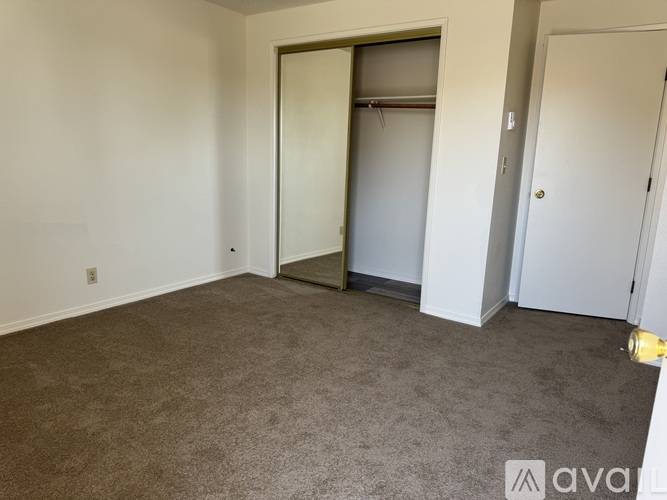 A room with a carpeted floor and a closet with a mirror.