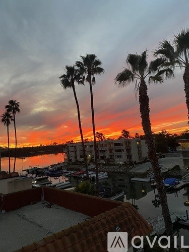 A sunset view with palm trees and boats docked in the water.