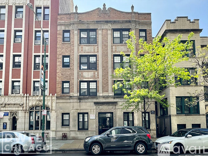 A tree with green leaves is in front of a building with a black door.