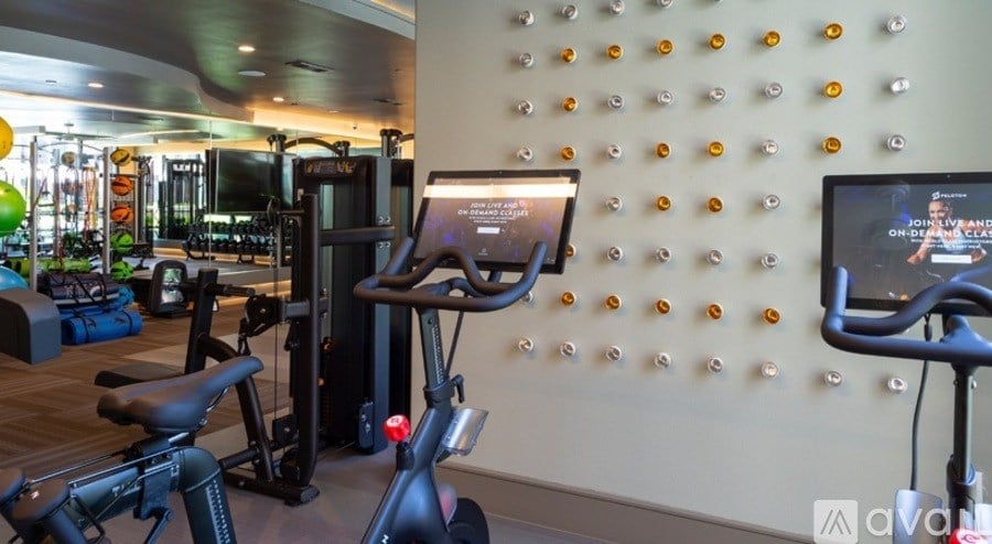 A gym with a variety of exercise equipment including treadmills, stationary bikes, and weight machines.