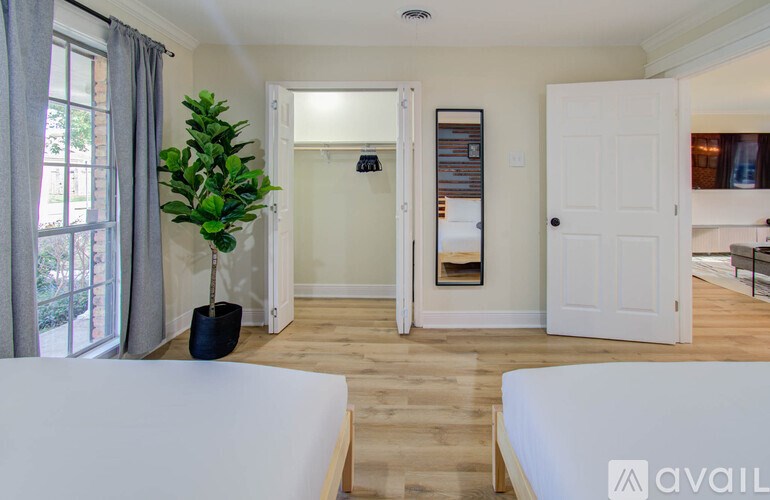 A living room with a white couch and a plant in a black pot.