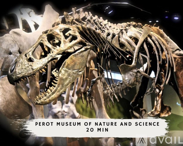 A dinosaur skeleton is displayed at the Perot Museum of Nature and Science.