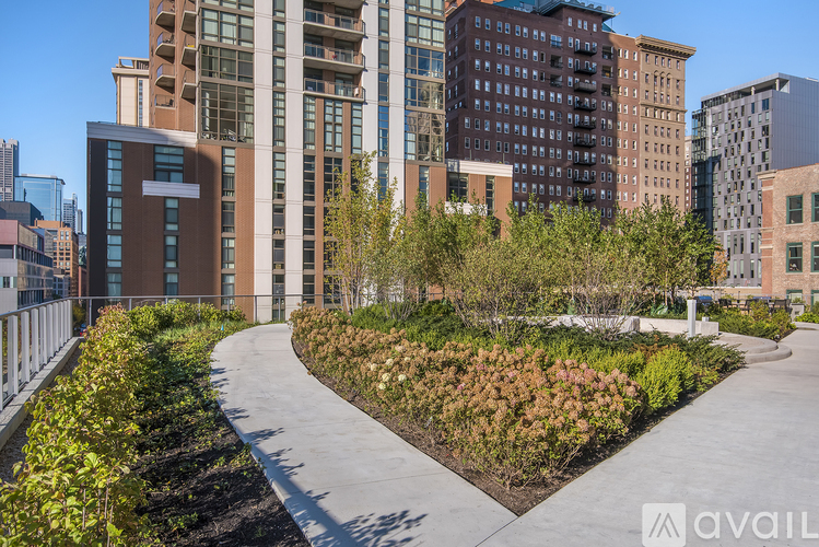 A city landscape with a pathway and buildings in the background.