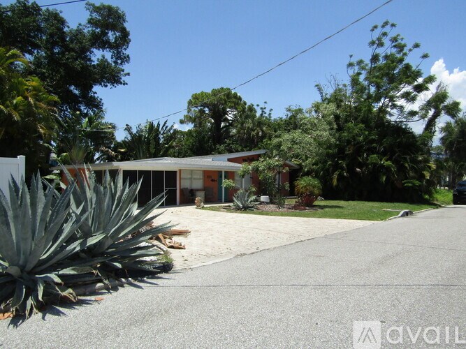 A house with a driveway and a large plant in front.
